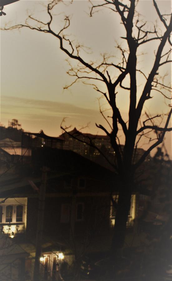Prakash Cottage シムラー エクステリア 写真
